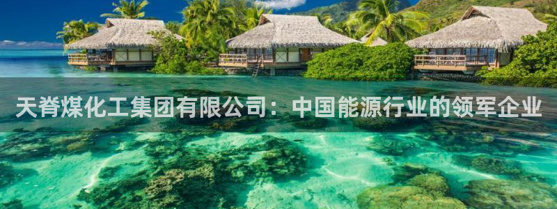 球盟会qm8597