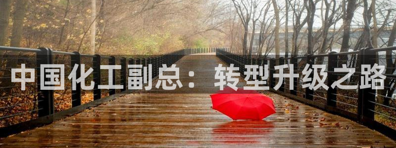 球盟会优惠码