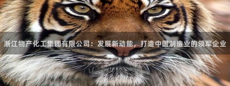 球盟会进不去球员吗