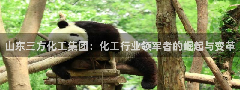 球盟会手机网页版