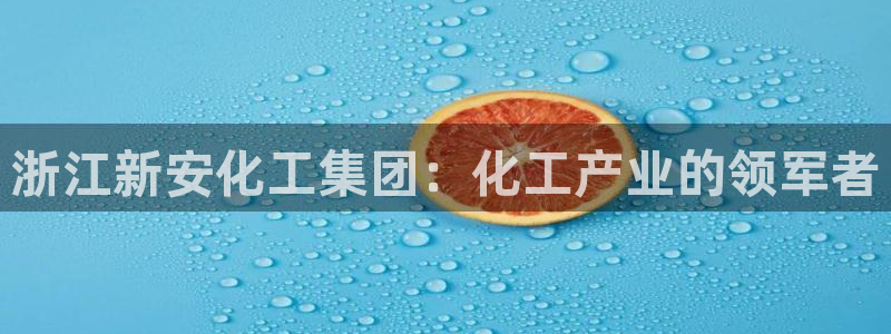 球盟会登录平台