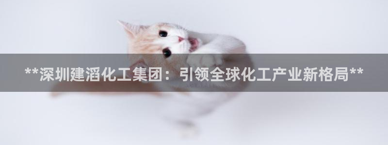 球盟会官方版下载地址