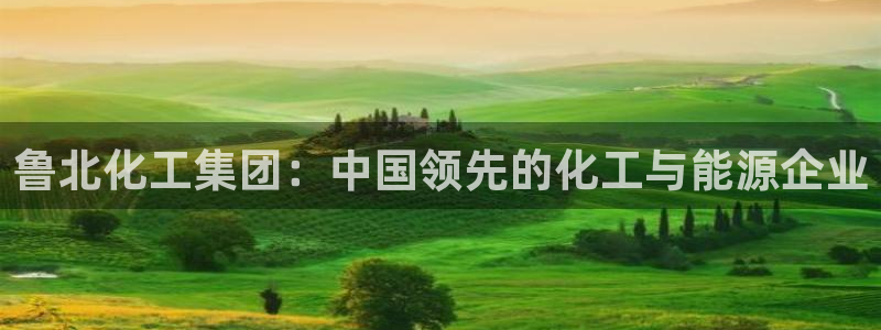 球盟会官方登录平台入口