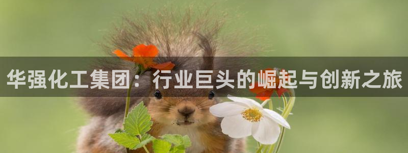 球盟会官方网站