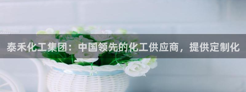 球盟会可以提现么是真的吗：泰禾化工集团：中国领先的化工供应商