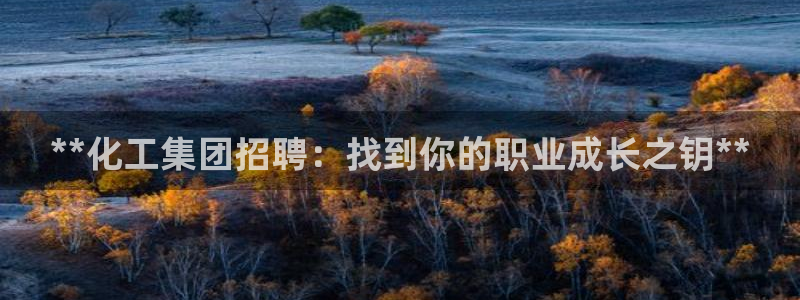 球盟会进不去：**化工集团招聘：找到你的职业成长之钥**