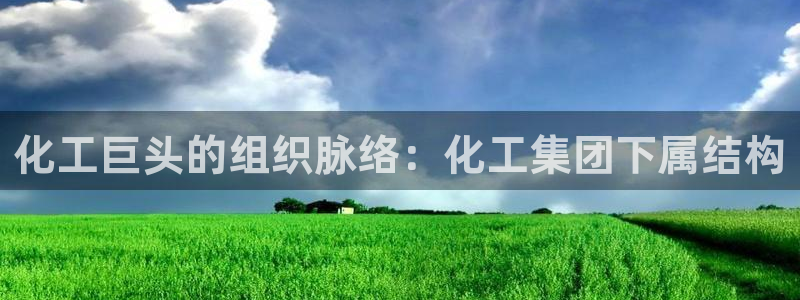 球盟会APP官网