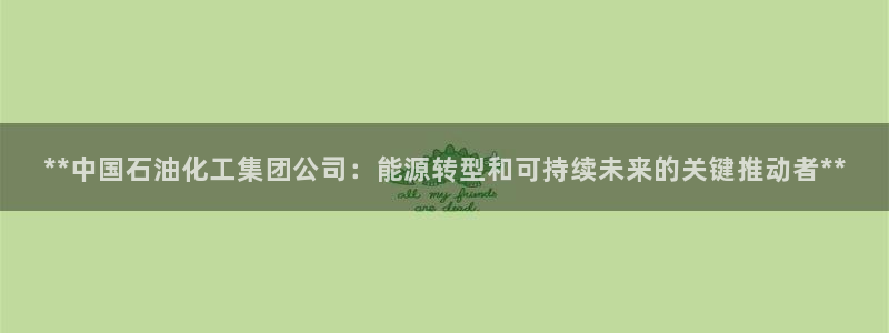 球盟会登陆中心：**中国石油化工集团公司：能源转型和可持续未