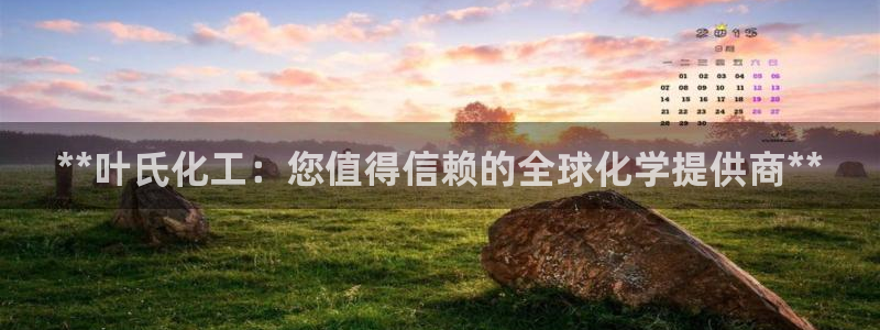 球盟会进不去：**叶氏化工：您值得信赖的全球化学提供商**