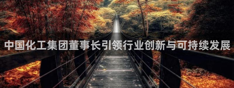 球盟会有没有黑单的：中国化工集团董事长引领行业创新与可持续发