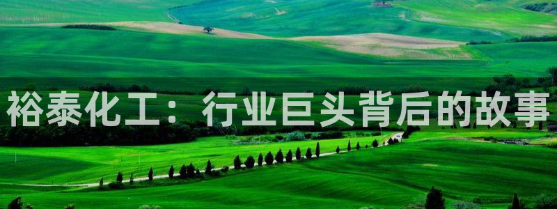 球盟会下载最新版