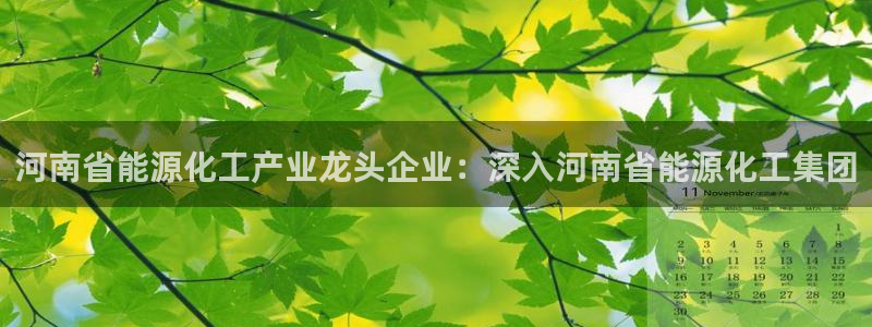 球盟会官方客服：河南省能源化工产业龙头企业：深入河南省能源化