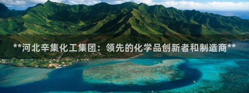 球盟会登陆入口：**河北辛集化工集团：领先的化学品创新者和制