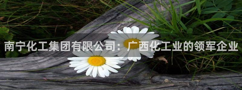 球盟会体验金球奖吗