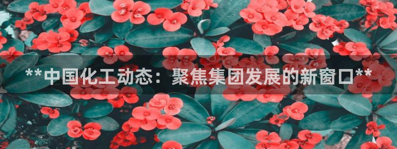 球盟会出款黑了