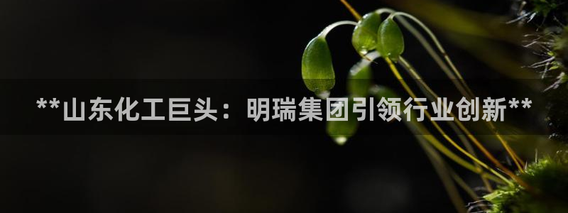球盟会官方网站app：**山东化工巨头：明瑞集团引领行业创新