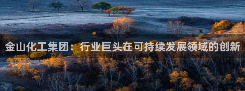 球盟会国际官网：金山化工集团：行业巨头在可持续发展领域的创新