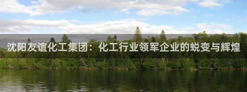 球盟会有限公司怎么样