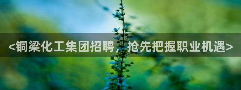 球盟会官网入口