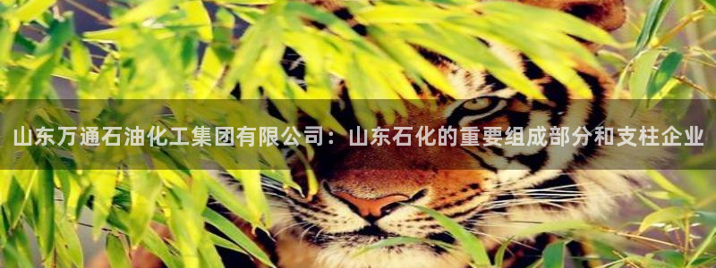 球盟会APP最新地址：山东万通石油化工集团有限公司：山东石化