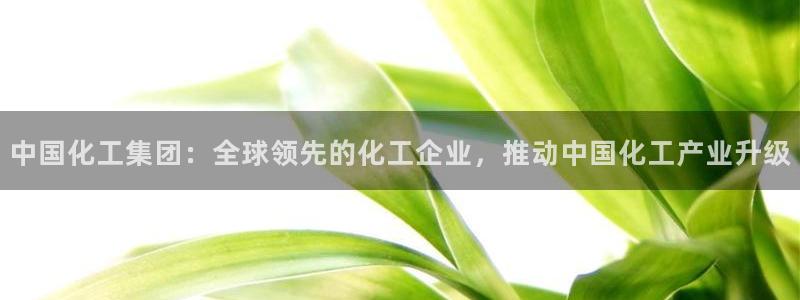 球盟会乐虎：中国化工集团：全球领先的化工企业，推动中国化工产