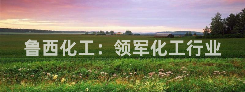 球盟会官方登录平台入口：鲁西化工：领军化工行业