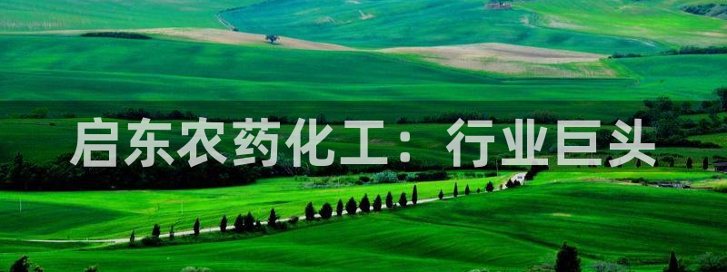 球盟会登陆