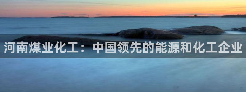 球盟会在线登入：河南煤业化工：中国领先的能源和化工企业