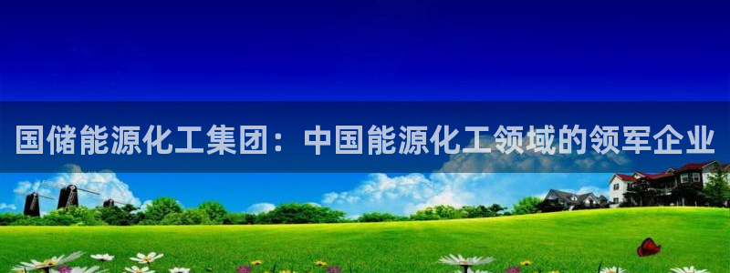 球盟会官方网站入口：国储能源化工集团：中国能源化工领域的领军