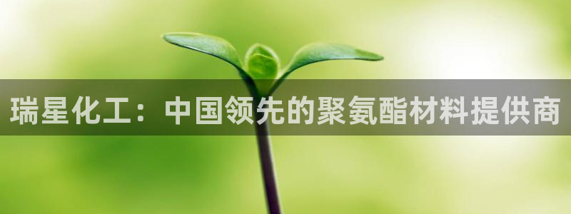 球盟会体育平台