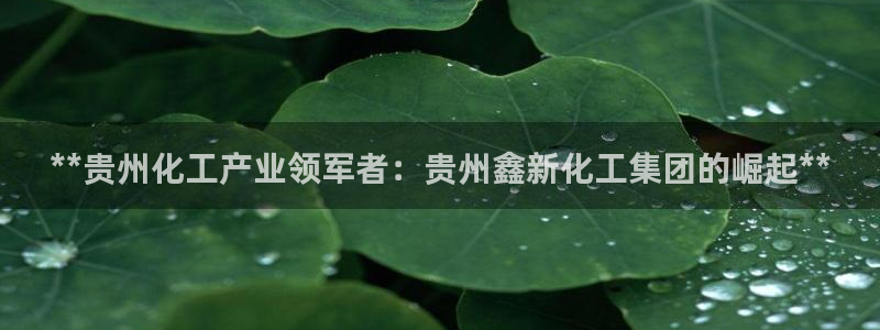 球盟会登录入口：**贵州化工产业领军者：贵州鑫新化工集团的崛