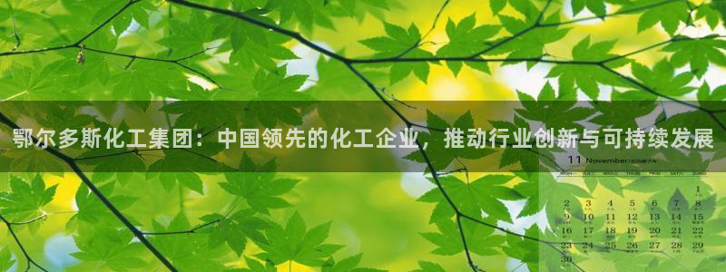 球盟会能退钱吗是真的吗：鄂尔多斯化工集团：中国领先的化工企业