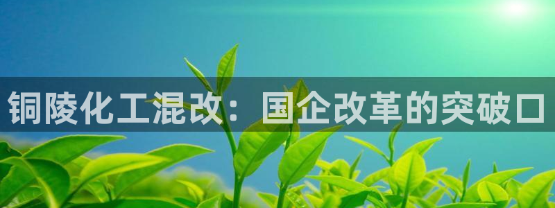 球盟会官网入口