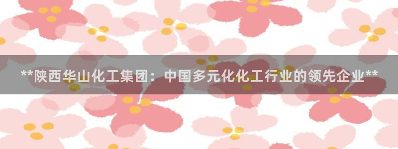 球盟会qmh电子网页版登录：**陕西华山化工集团：中国多元化