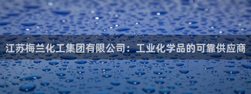 球盟会官方网站是什么：江苏梅兰化工集团有限公司：工业化学品的