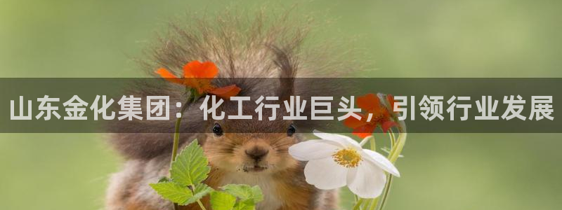 球盟会最新地址备用