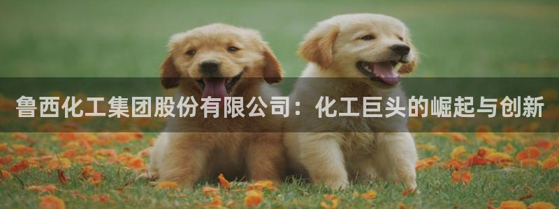 球盟会邮箱：鲁西化工集团股份有限公司：化工巨头的崛起与创新