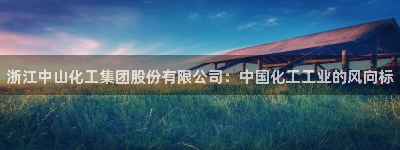 球盟会官方客服：浙江中山化工集团股份有限公司：中国化工工业的