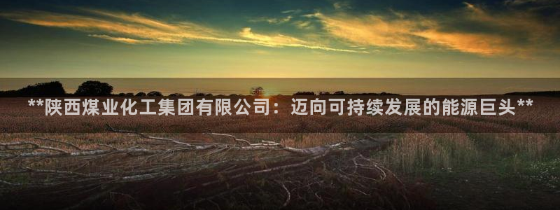 球盟会优惠领取网站：**陕西煤业化工集团有限公司：迈向可持续
