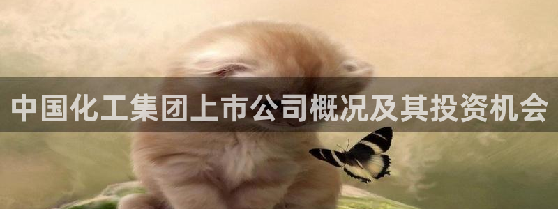球盟会官网app下载：中国化工集团上市公司概况及其投资机会