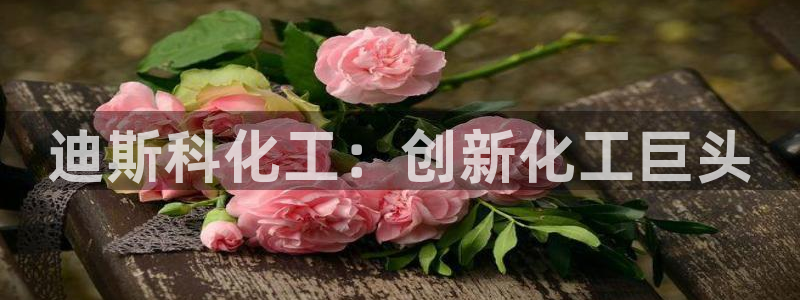 球盟会电子：迪斯科化工：创新化工巨头