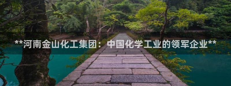 球盟会app最新地址下载：**河南金山化工集团：中国化学工业