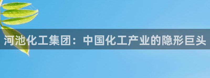 球盟会用的客服聊天是哪个软件