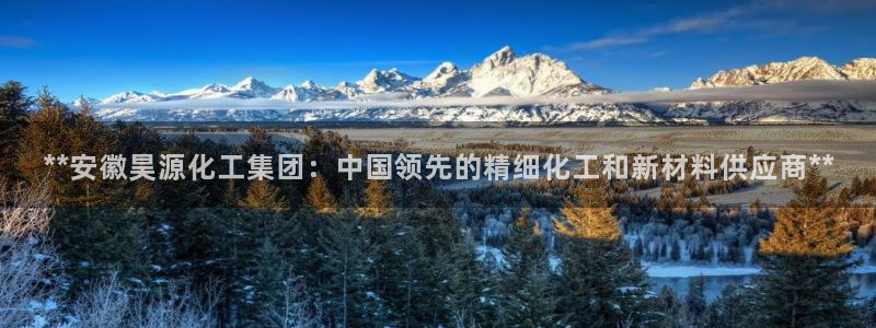 球盟会综合体育平台怎么样：**安徽昊源化工集团：中国领先的精