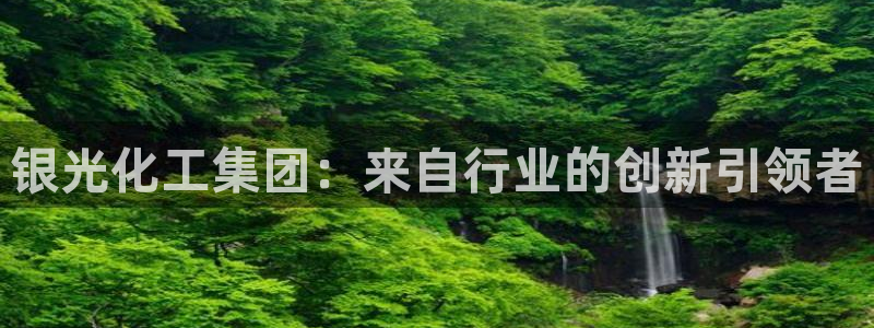 球盟会登录入口：银光化工集团：来自行业的创新引领者