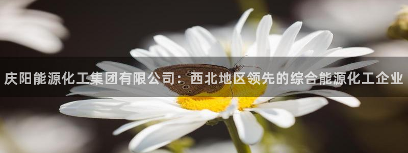 球盟会出款黑了：庆阳能源化工集团有限公司：西北地区领先的综合