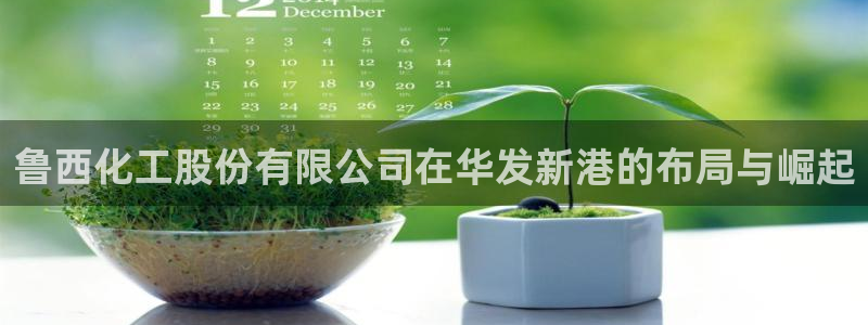 球盟会官方：鲁西化工股份有限公司在华发新港的布局与崛起