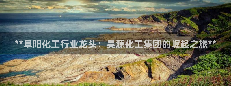 球盟会可以提现么现在：**阜阳化工行业龙头：昊源化工集团的崛