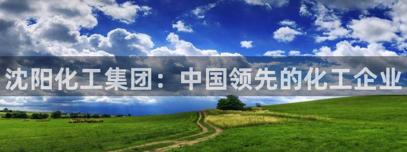 球盟会封禁：沈阳化工集团：中国领先的化工企业