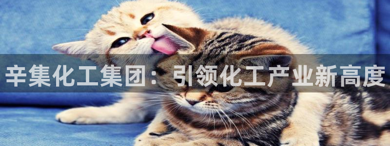 球盟会下款快吗